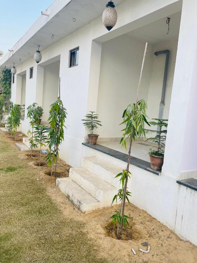 Hotel Kota kunj Heritage Pushkar Bagian luar foto